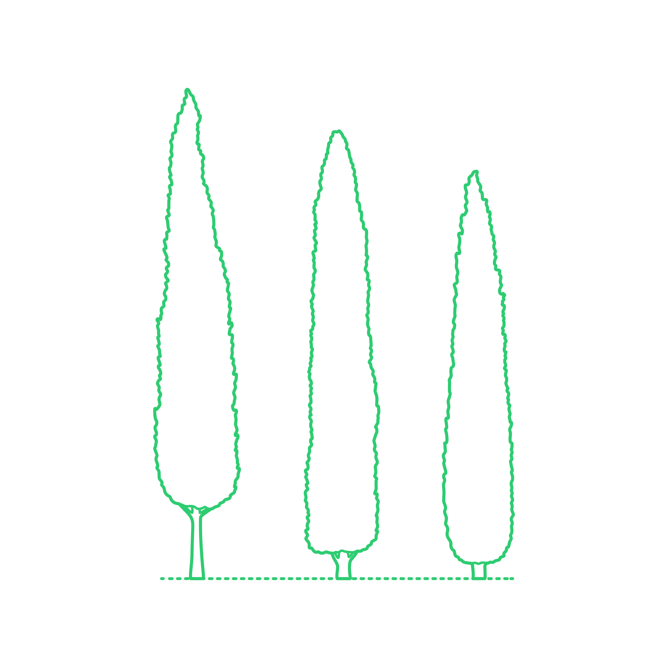 Plants Cypresses Italian Cypress Outline Icon Svg Set Free Vectors